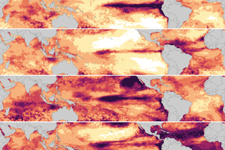Map image for How does 2023-24 global coral bleaching compare to past events?